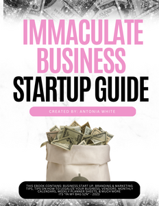 Immaculate Business Start Up Guide